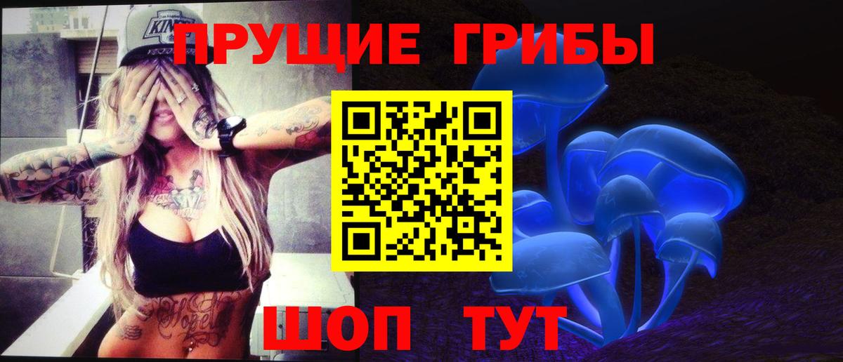 Кудымкар  Галлюциногенные грибы мухоморы  Вход с VPN  Псилоцибиновые грибы ЛСД 